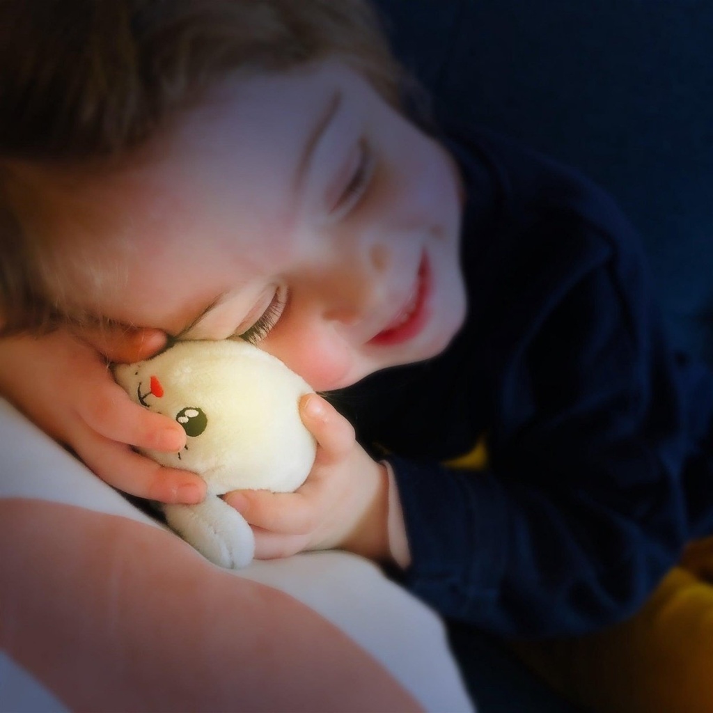 Shakies veilleuse portable Licorne