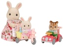 Sylvanian Families - Le Tricycle et Mini Voiture