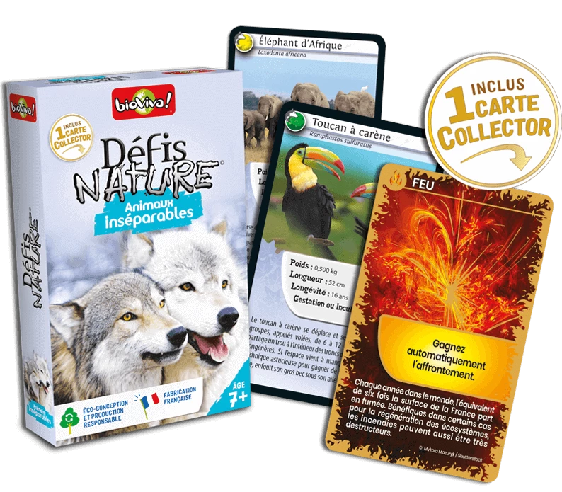 Defis nature - Animaux Inseparables