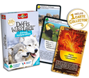 Defis nature - Animaux Inseparables