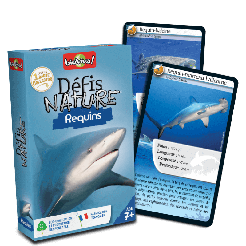 Defis nature requins