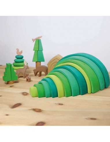 Arc en ciel vert foret