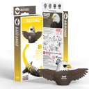 Eugy - Aigle