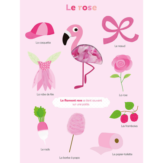 Mes Premières Couleurs à Toucher
