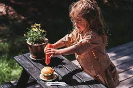 Dantoy - Set de burger bio