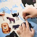 Discovery Poster Animaux du monde