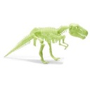 Kosmos - Glow in the dark T.Rex