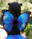Midnight Butterfly Set - SIZE US 4-6