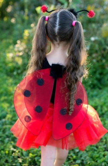 Set pailleté coccinelle - Ailes, Jupe, et Serre-tête – 4/7
