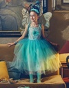 Maryanne robe et ailes 8-10ans