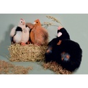Plush Histoire D'Ours Les Poulettes