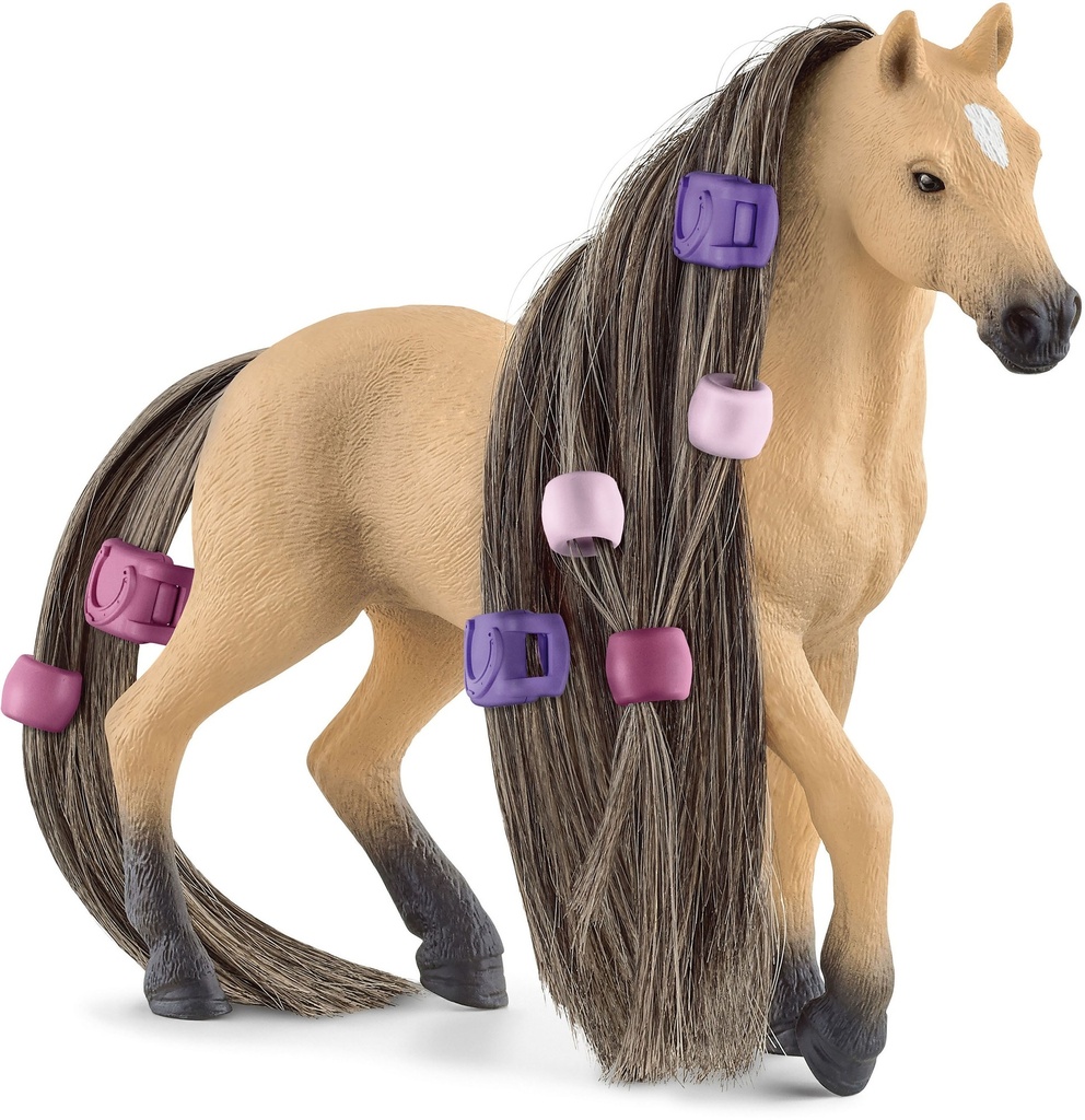 Jument andalouse Beauty Horse