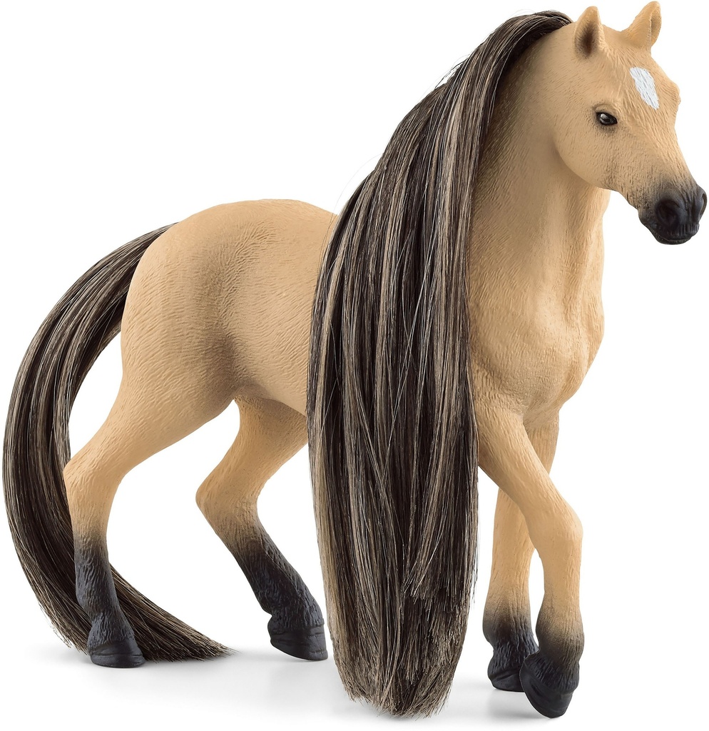 Jument andalouse Beauty Horse