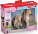 Jument andalouse Beauty Horse