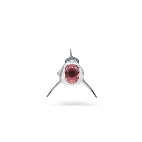 Megalodon