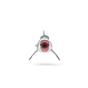 Megalodon