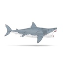 Megalodon