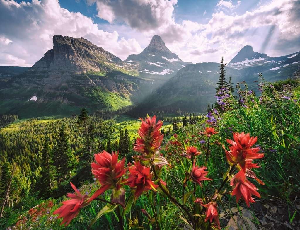 Puzzle 1000 pcs - Vue méditerranéenne (copie)