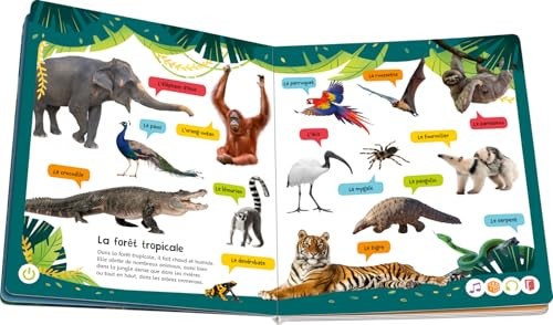 Tiptoi® Connais-tu Le Cri Des Animaux ?