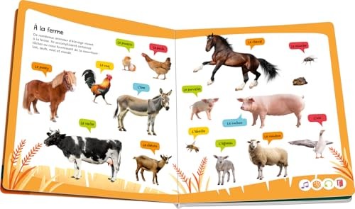 Tiptoi® Connais-tu Le Cri Des Animaux ?