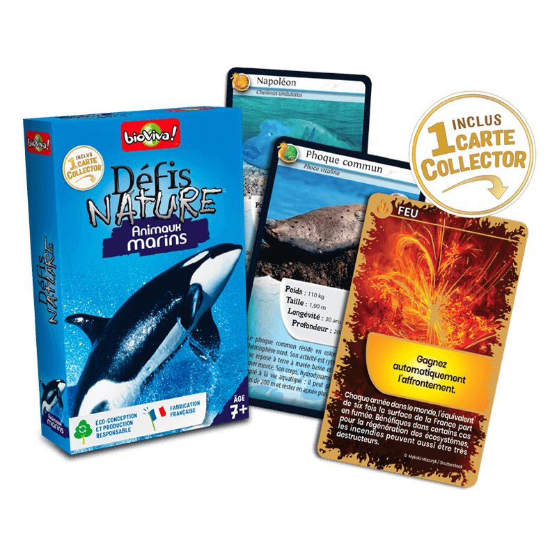 Defis nature - Animaux marins