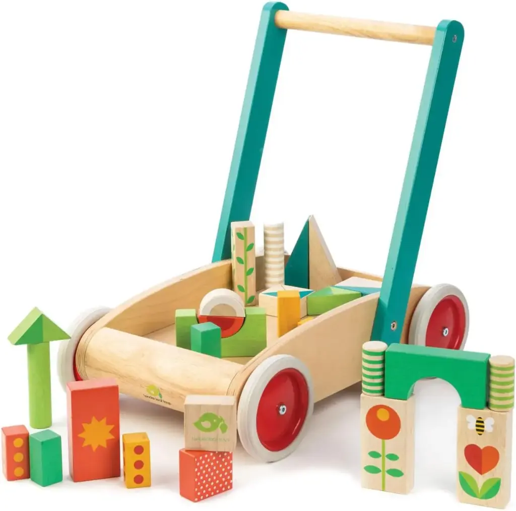 Chariot de marche tender leaf toys avec blocs colorés
