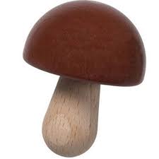 Champignon Haba  (Pied naturel et tête brune et brillante)