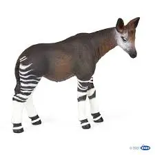  okapi