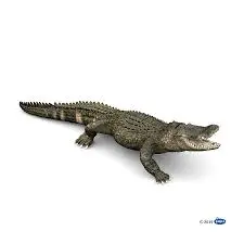 50254 Alligator