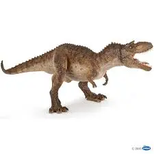 Gorgosaurus