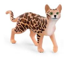 Chat bengal