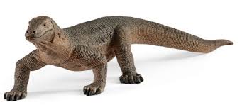 Dragon de komodo