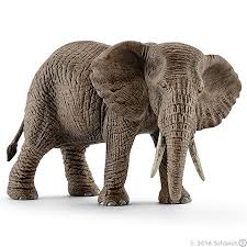 Eléphant d'Afrique femelle