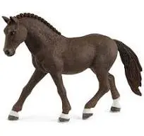 Poney de selle allemand Hongre