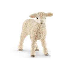 Agneau