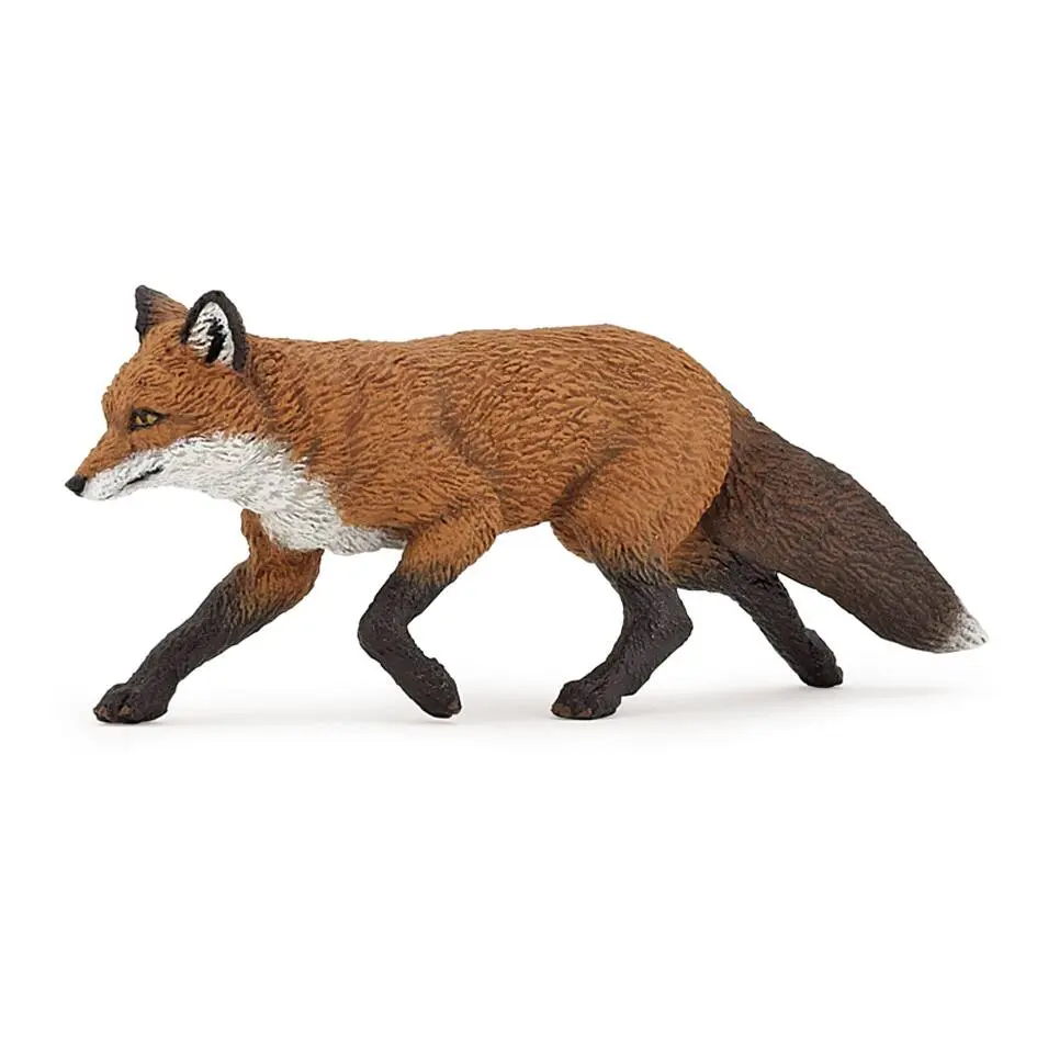 Renard