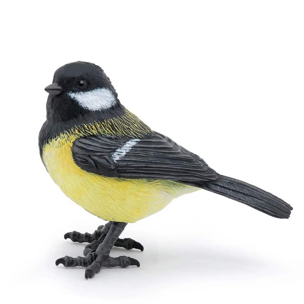 Mésange