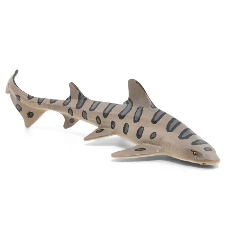 Requin léopard