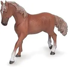 Jument Quarter horse