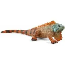 Iguane