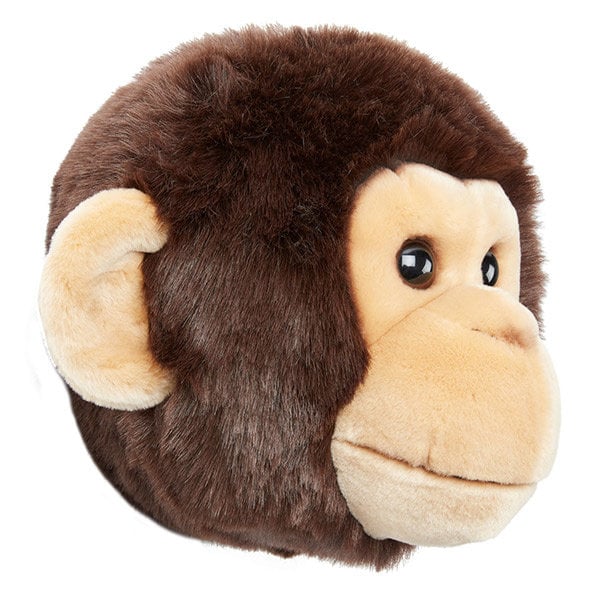 Tete de singe Joe