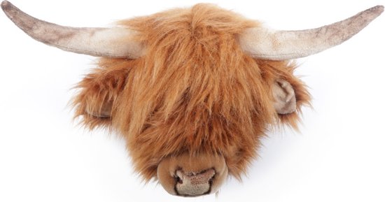 Tete de vache Ecosse Nicolas