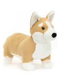 betty Corgi  Big