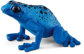 Dendrobate à tapirer