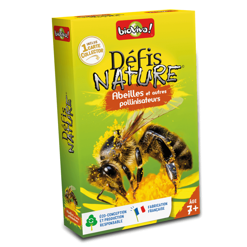 Défis Nature - Abeilles et autres pollinisateurs