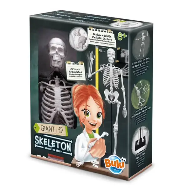 Buki - Squelette 45 cm