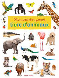 Mon premier grand livre d'animaux    (Chantecler)