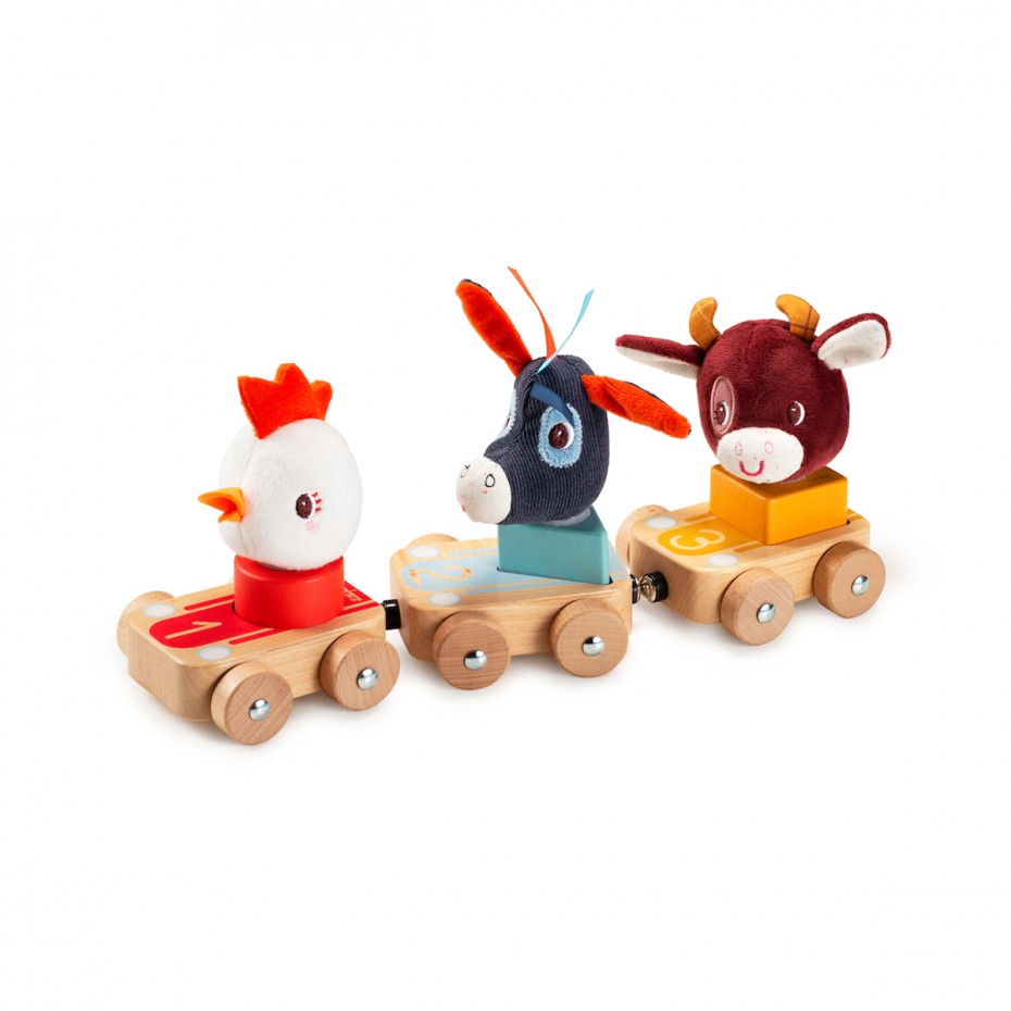 Seconde vie - Train Lilliputien