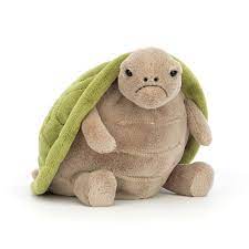 Tortue Timmy