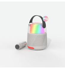 Enceinte karaoké KS-80 gris